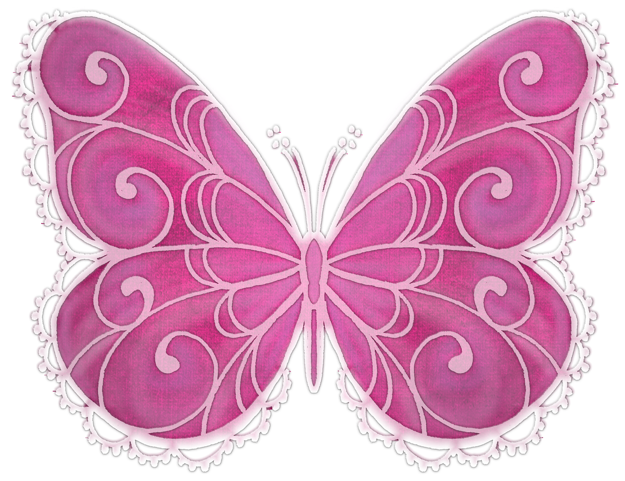 butterfly pink colorful free photo