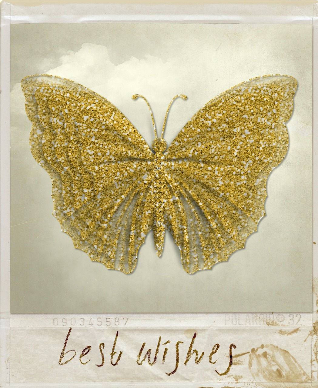 butterfly wishes card free photo