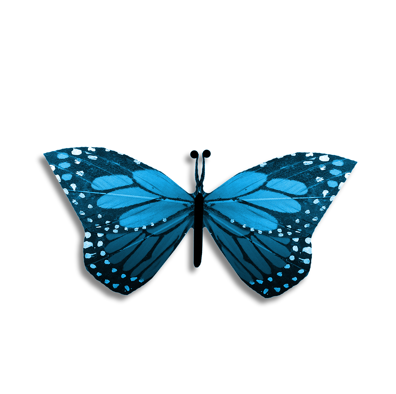 butterfly blue drawing free photo