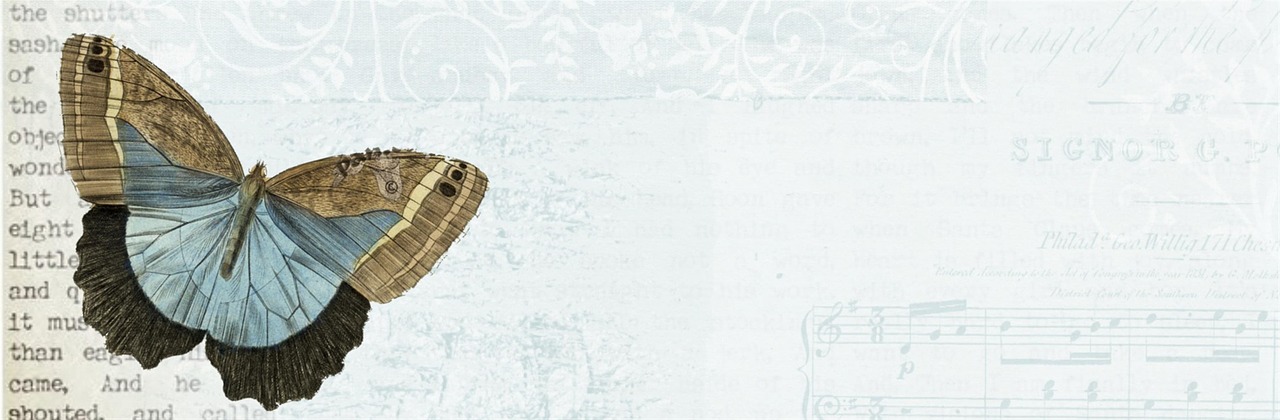 butterfly vintage banner free photo