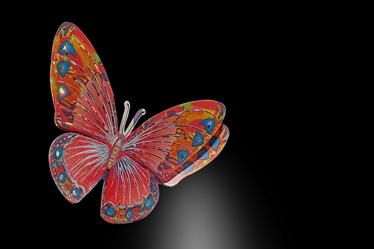 butterfly black background art free photo