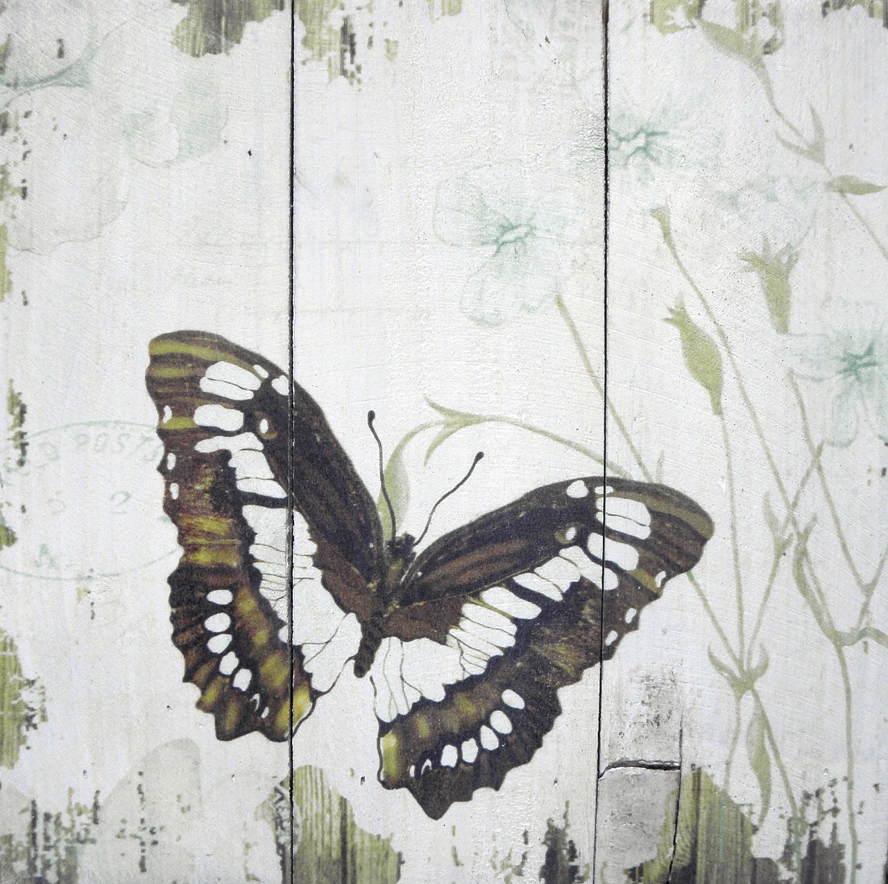 butterfly wood drawing free photo