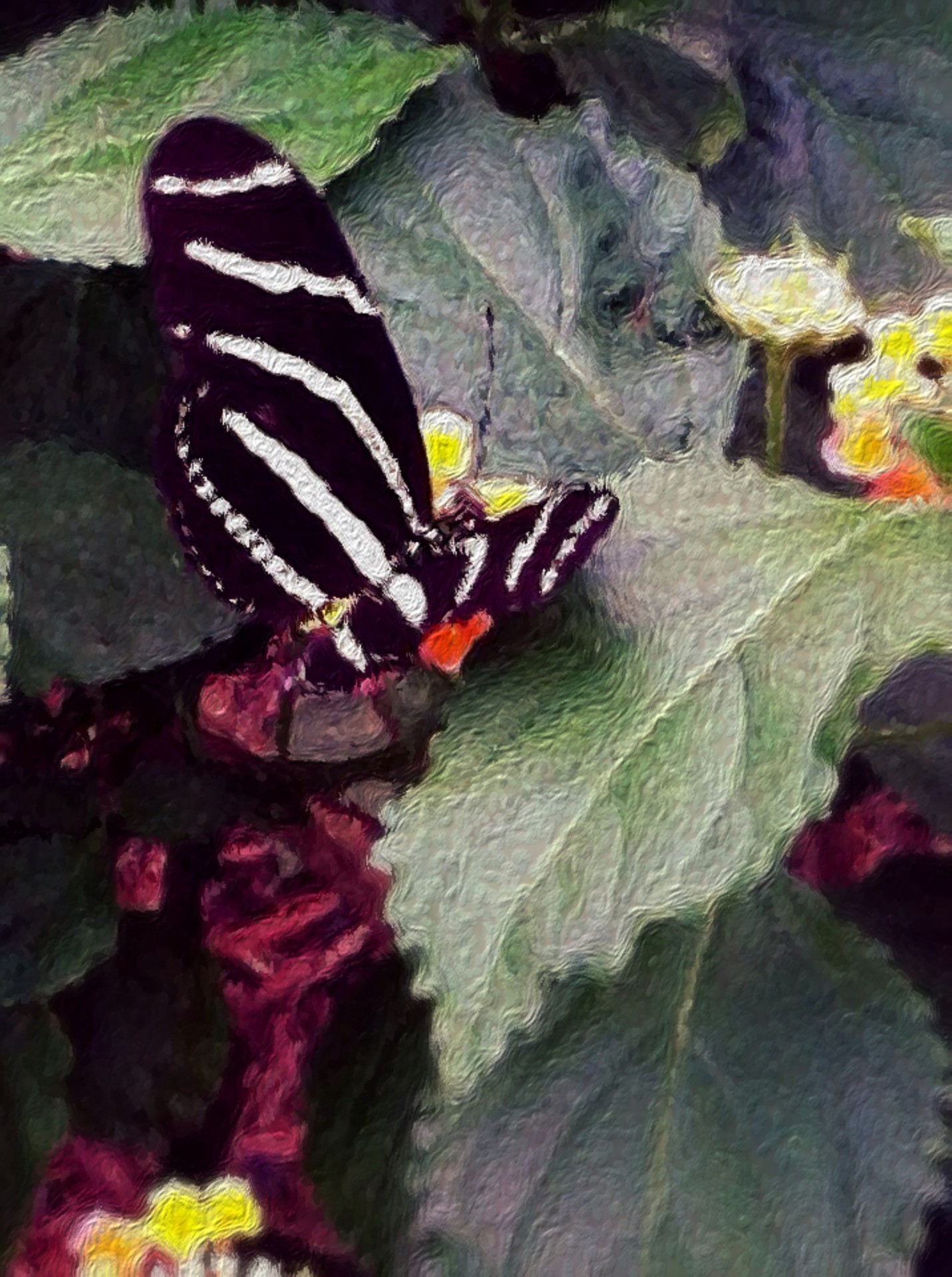 butterfly insect butterfly free photo