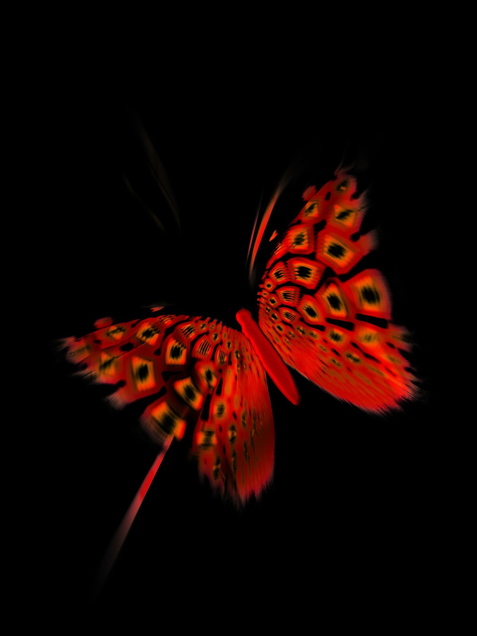 butterfly black red free photo