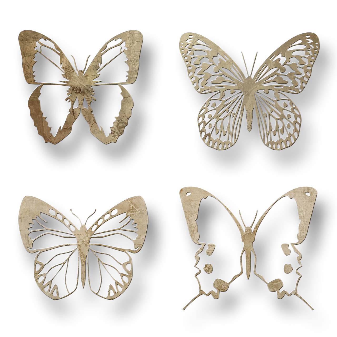 butterfly elements scrapbook free photo