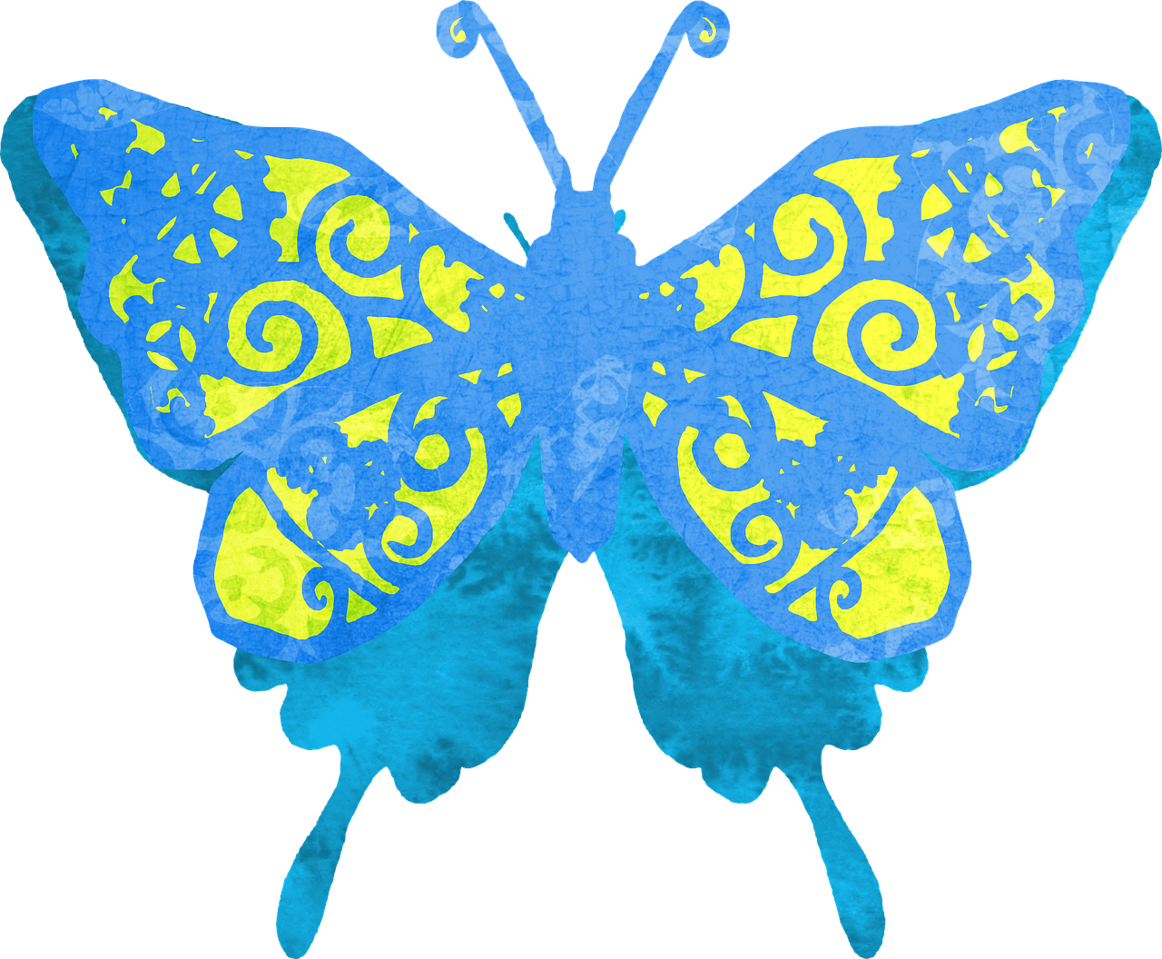 butterfly clipart blue free photo