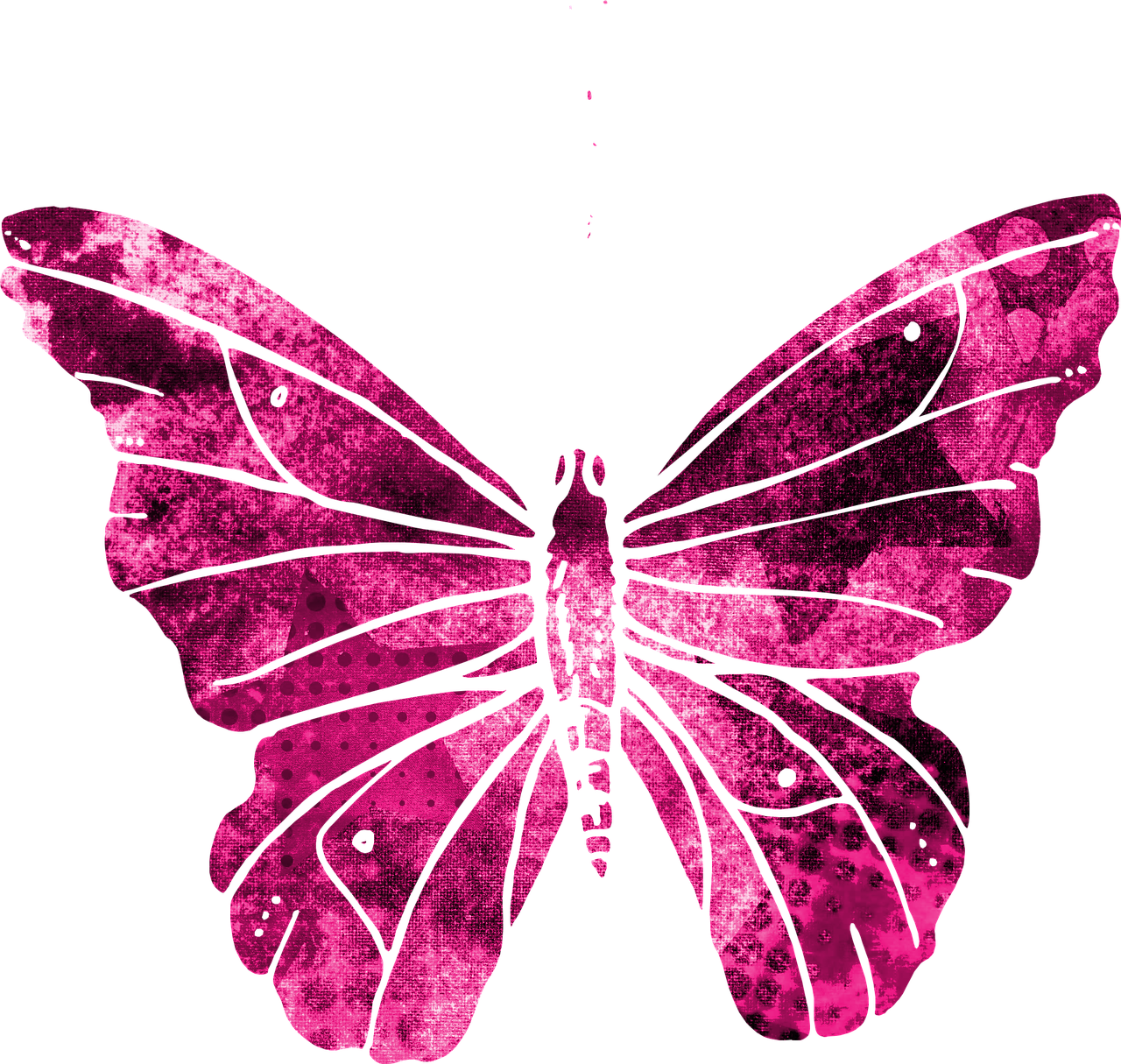 butterfly pink clipart free photo