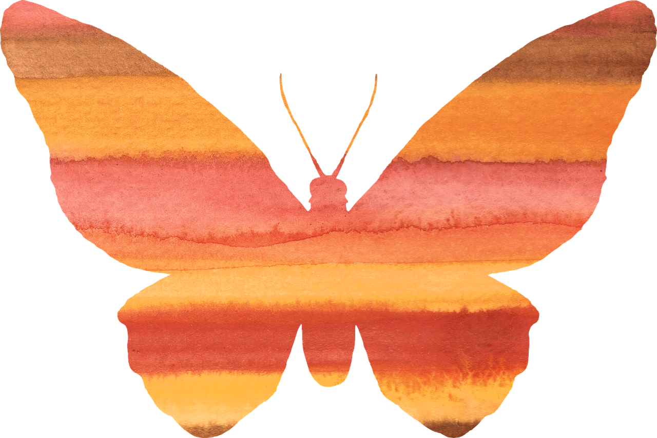 butterfly clipart orange free photo