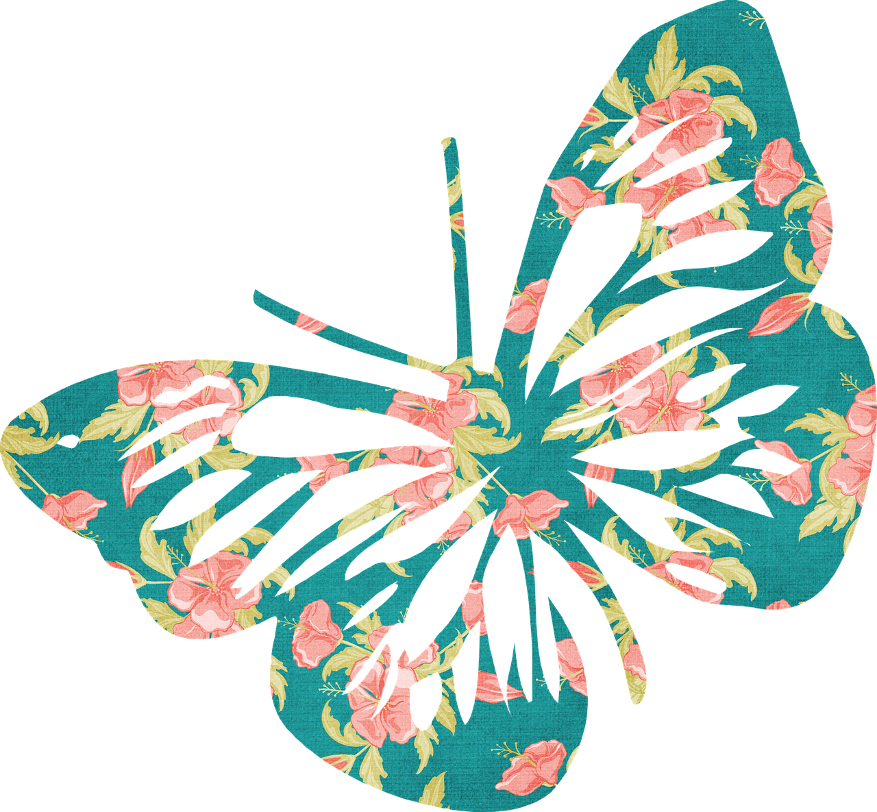 butterfly green outline free photo