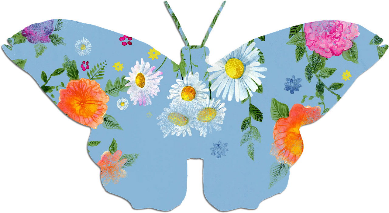 butterfly blue clipart free photo