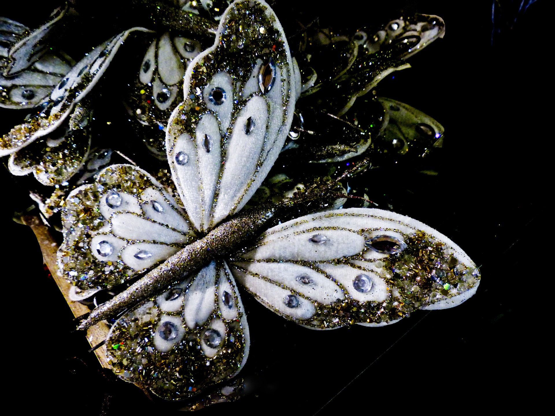 butterfly silver white free photo