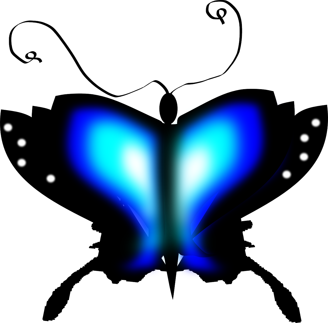 butterfly insect blue free photo