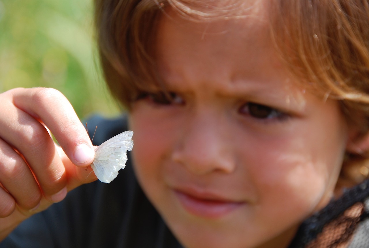 butterfly child people free photo