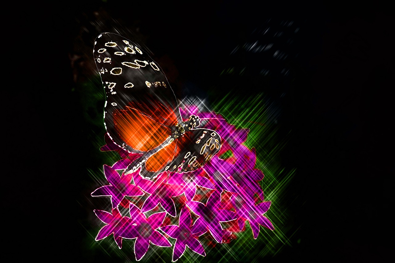 butterfly art artistic free photo