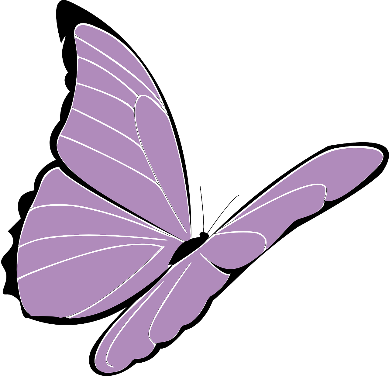 butterfly purple violet free photo