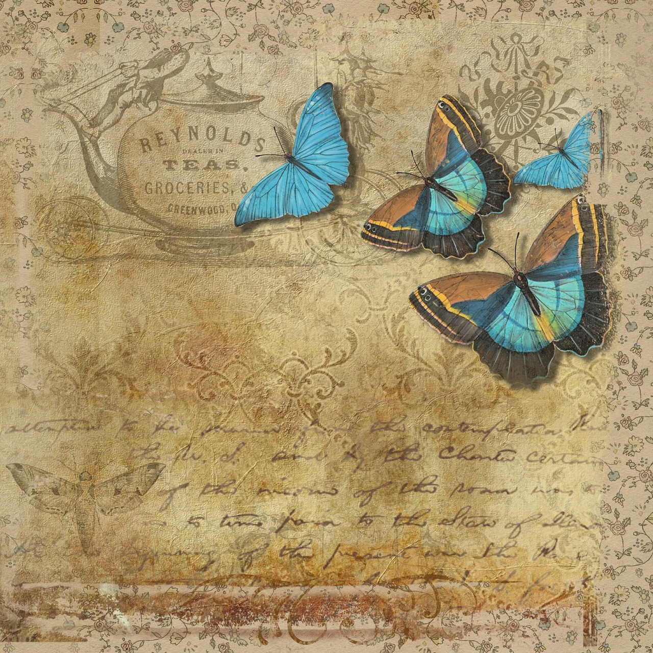 butterfly vintage handwritten free photo