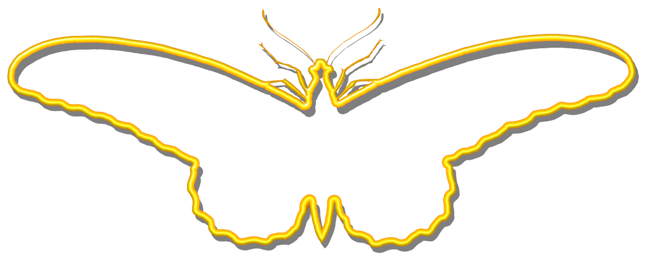 butterfly yellow silhouette free photo