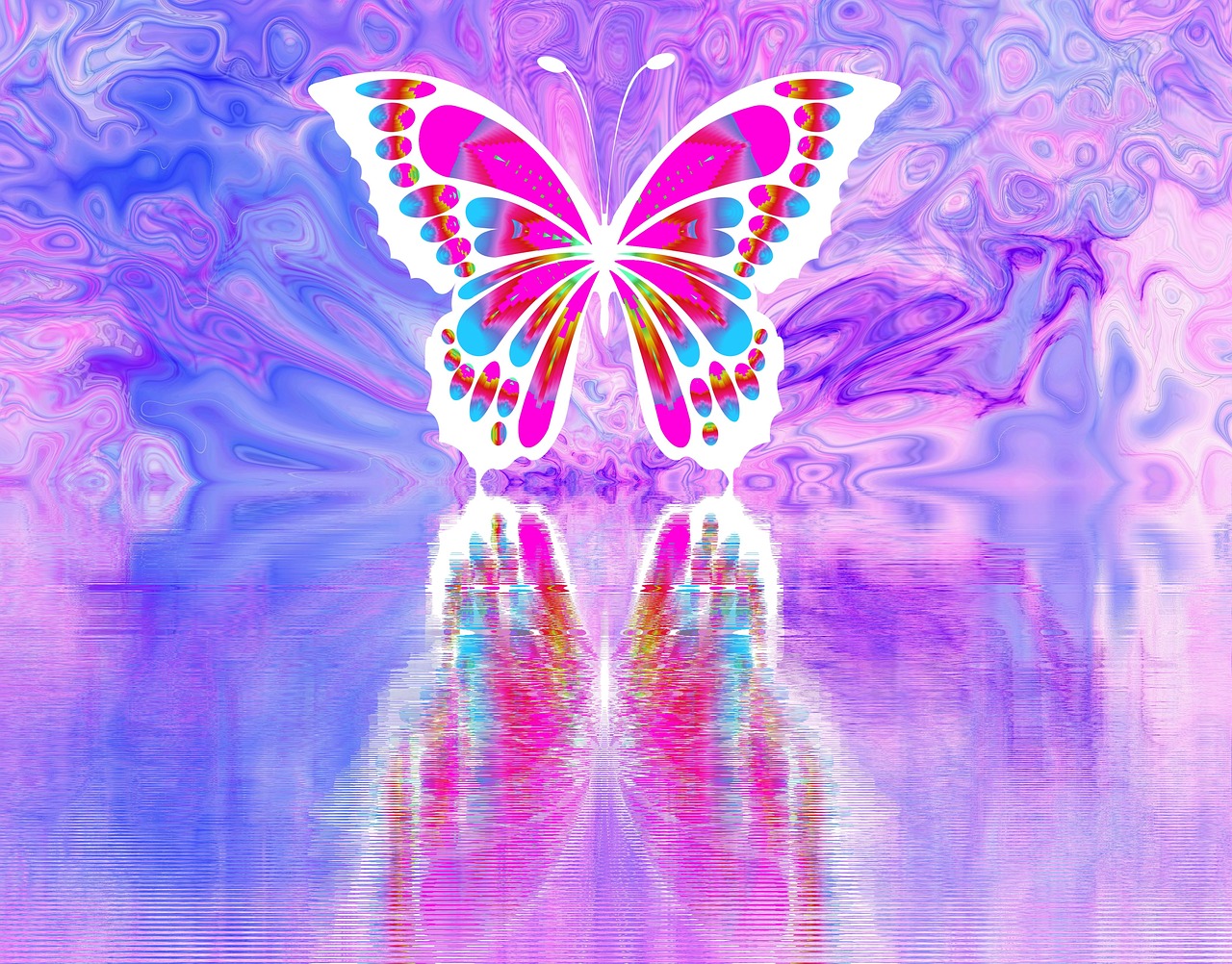 butterfly spring romantic free photo