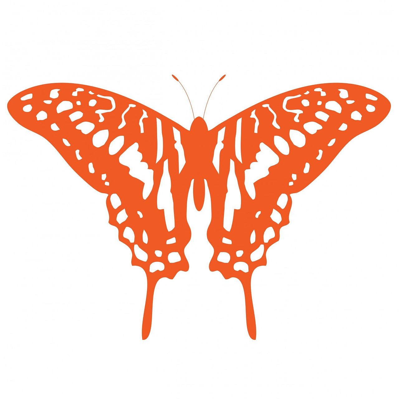 butterfly orange art free photo