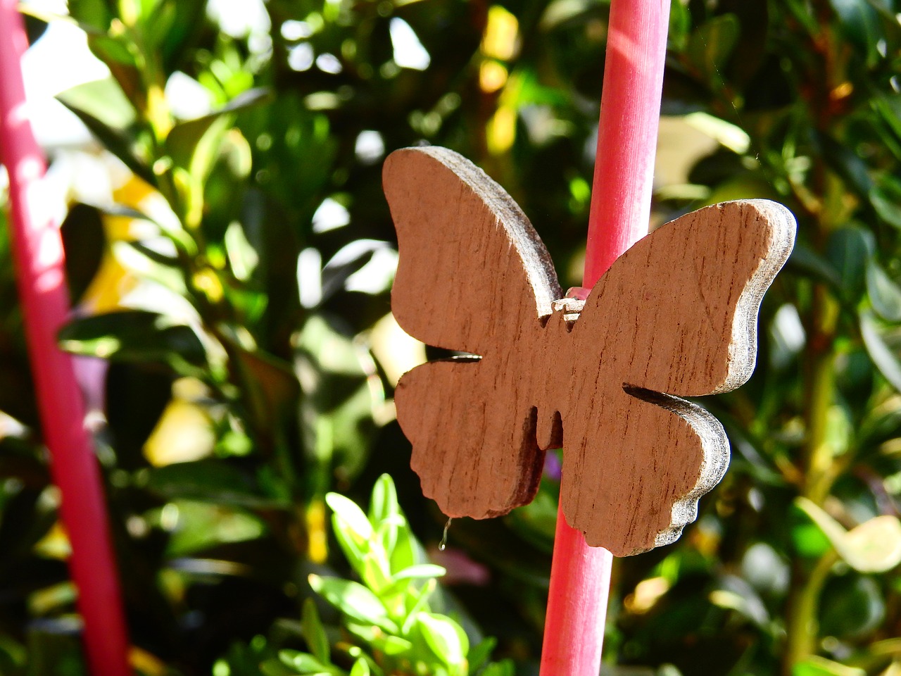 butterfly wood jewellery free photo