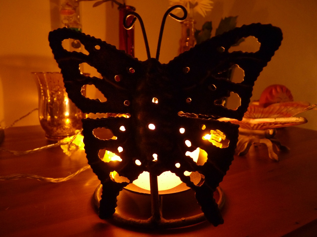 butterfly candle christmas free photo