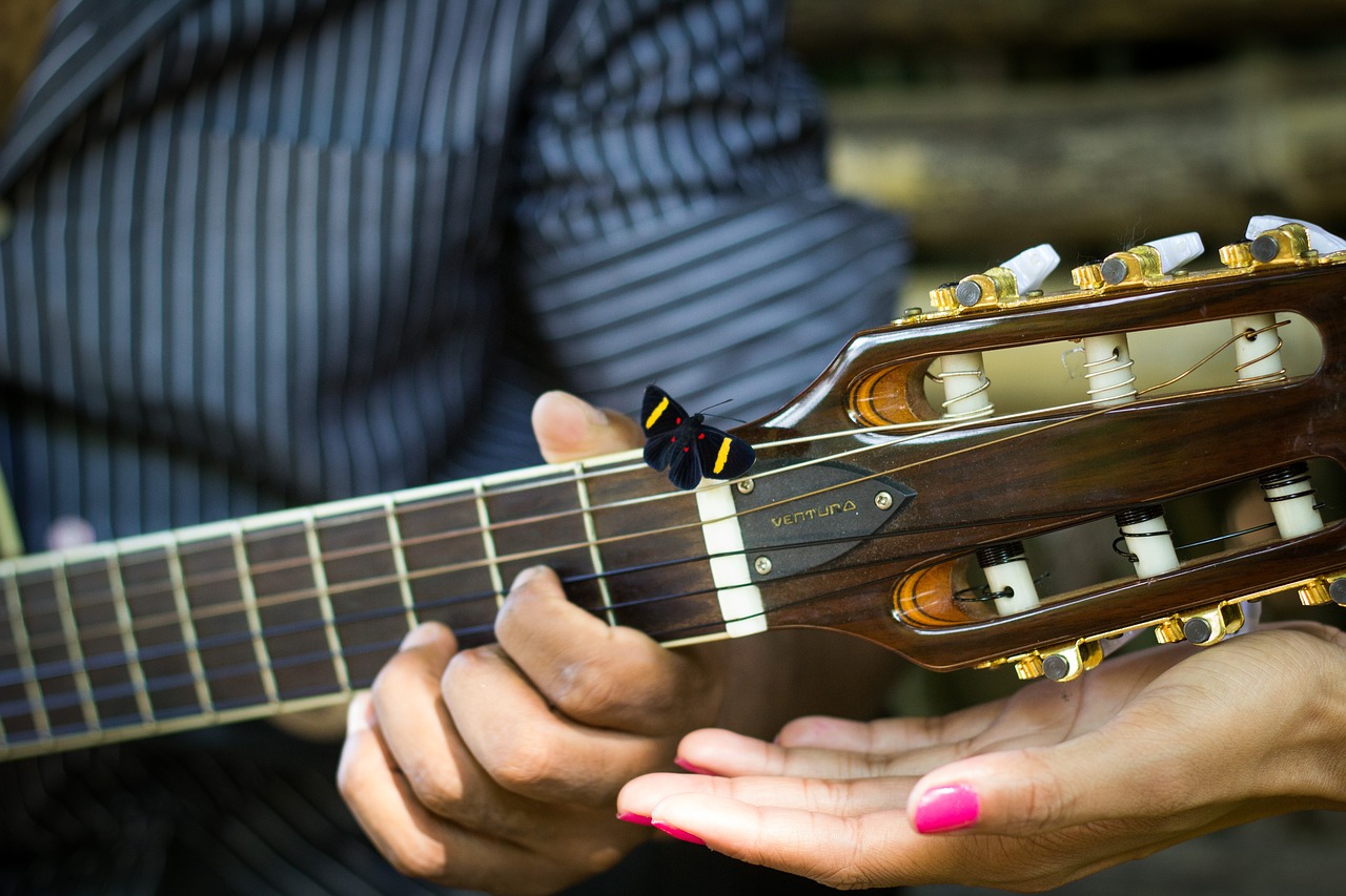 butterfly guitar casal free photo