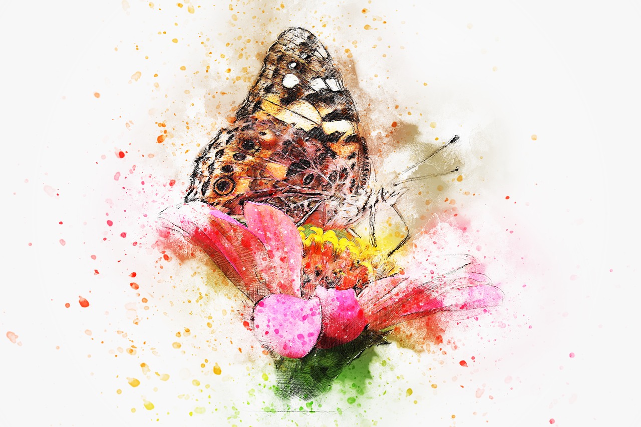 butterfly insect art free photo