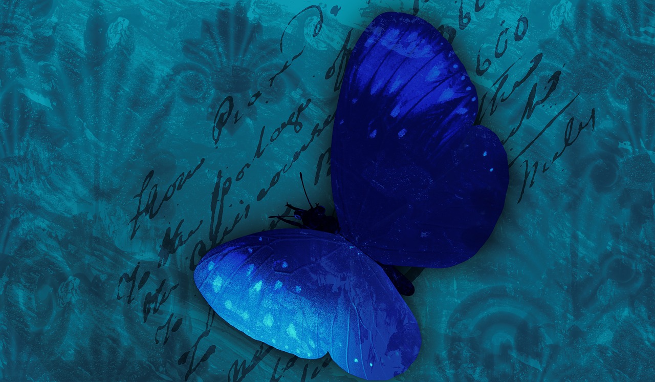 butterfly background blue free photo