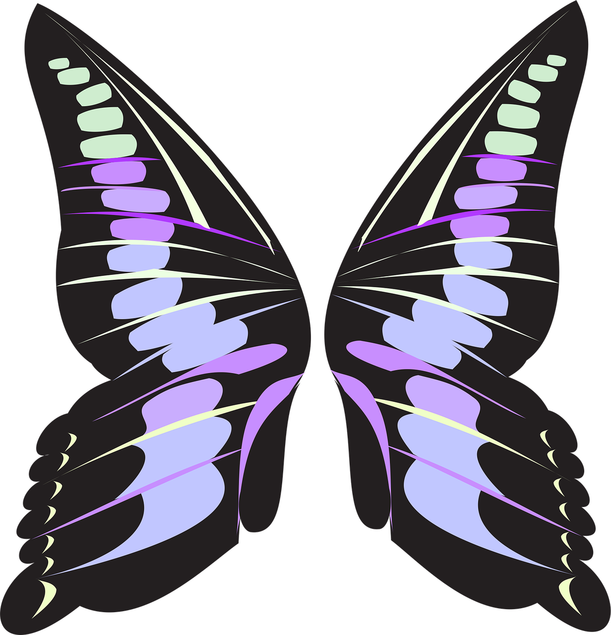 butterfly wings pink free photo