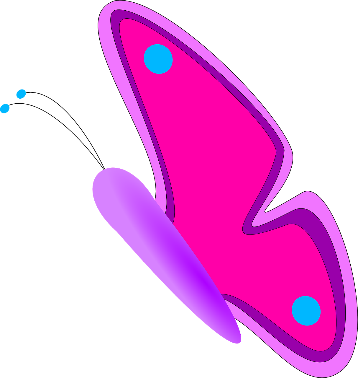 butterfly flying purple free photo