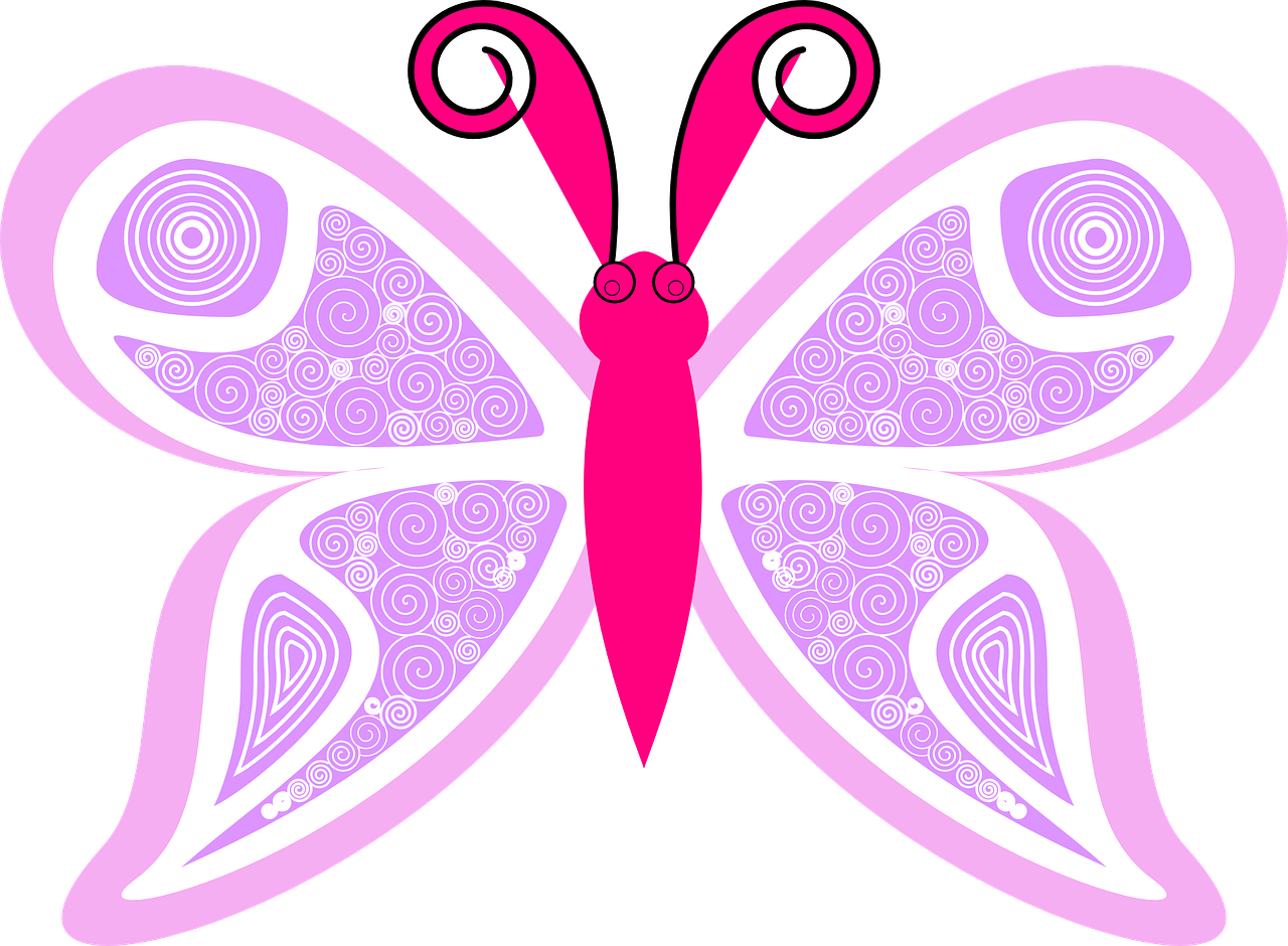 butterfly cute pink free photo