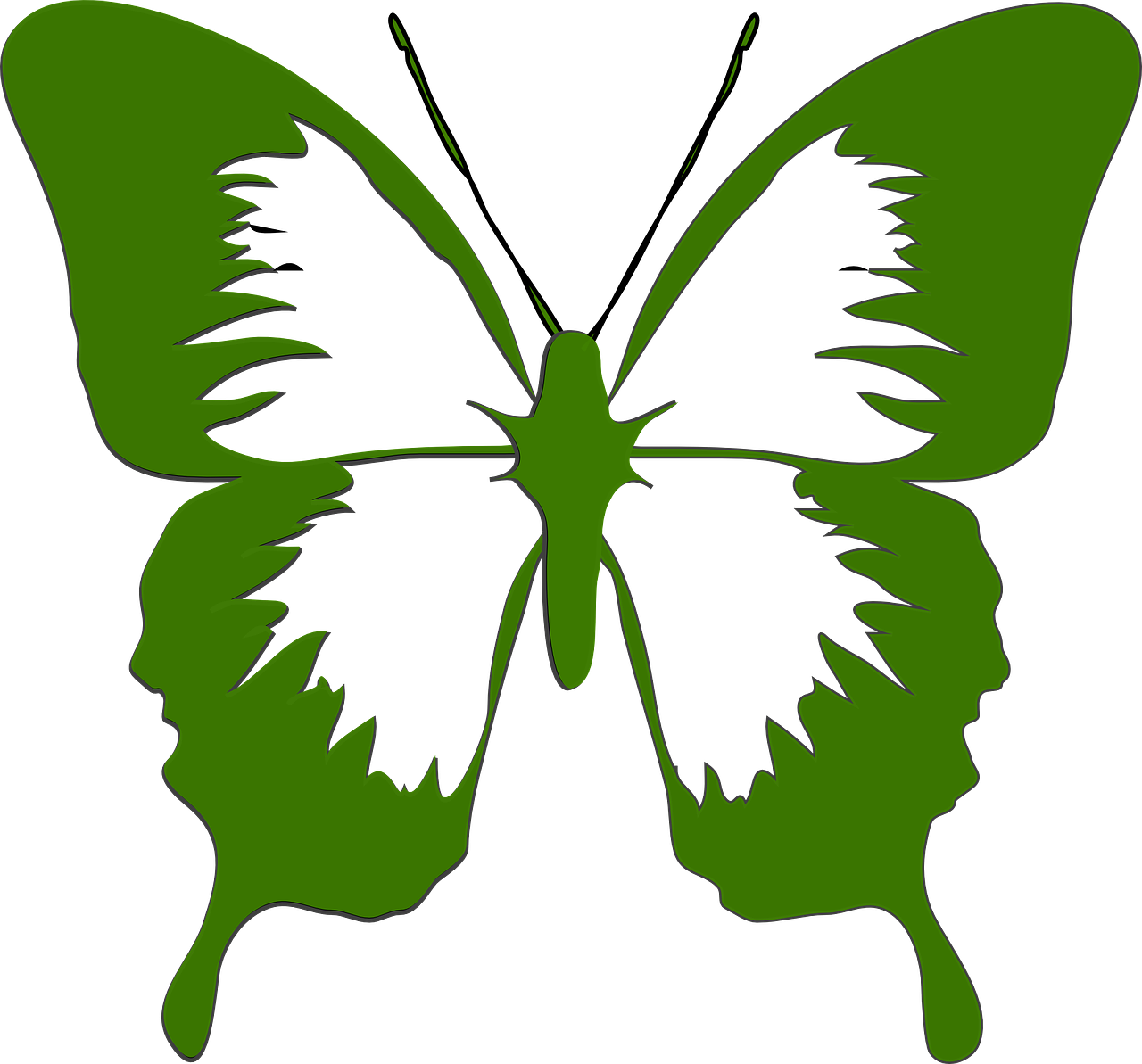 butterfly art design free photo