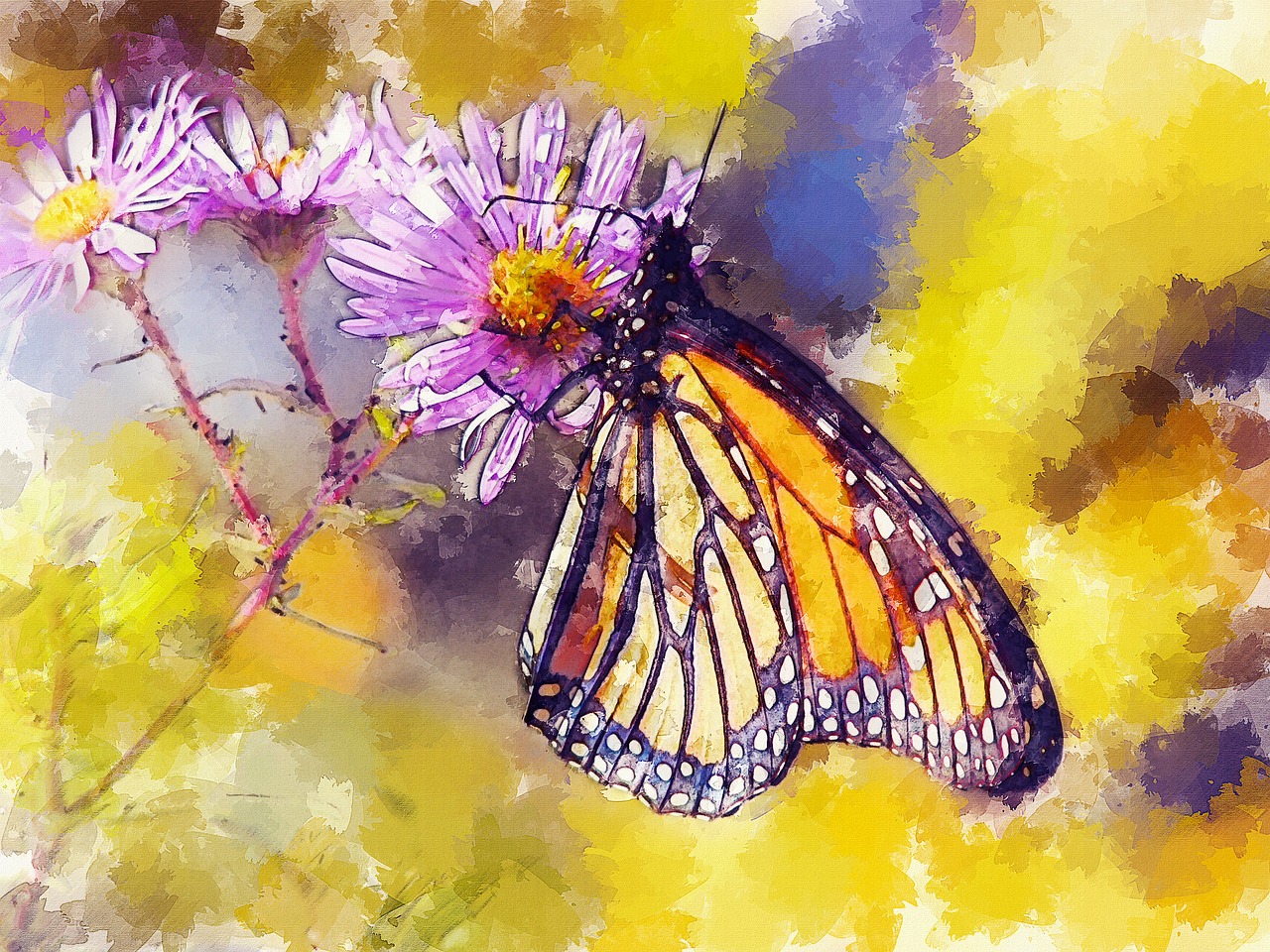 butterfly  butterflies  monarch free photo