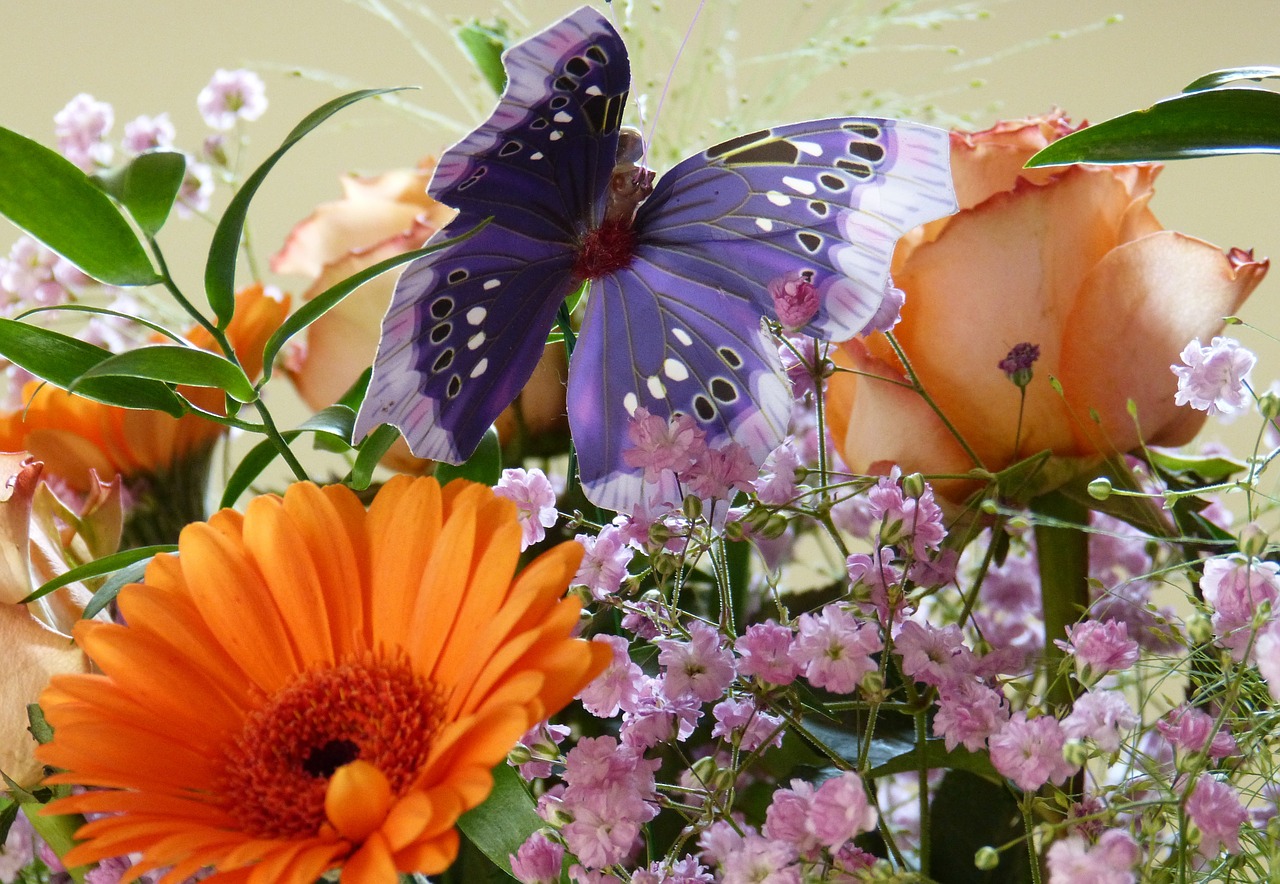 butterfly birthday bouquet gerbera free photo