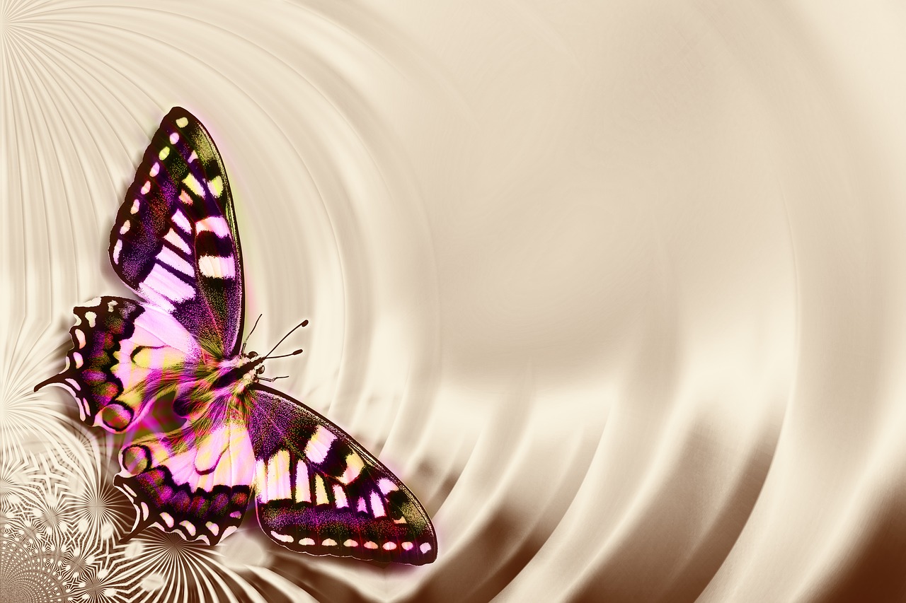 butterfly  ease  map free photo
