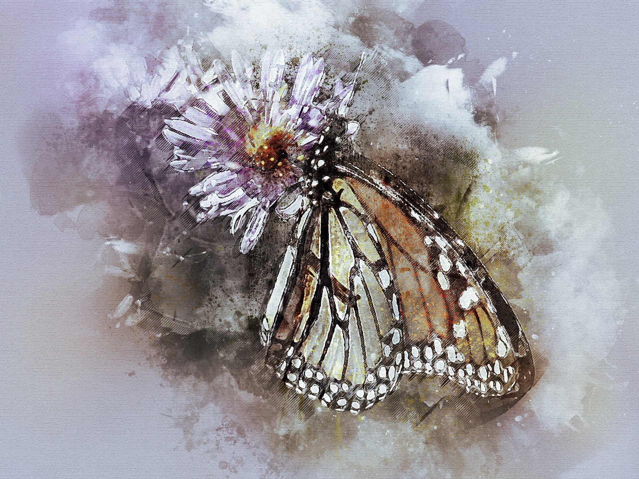 butterfly  butterflies  monarch free photo