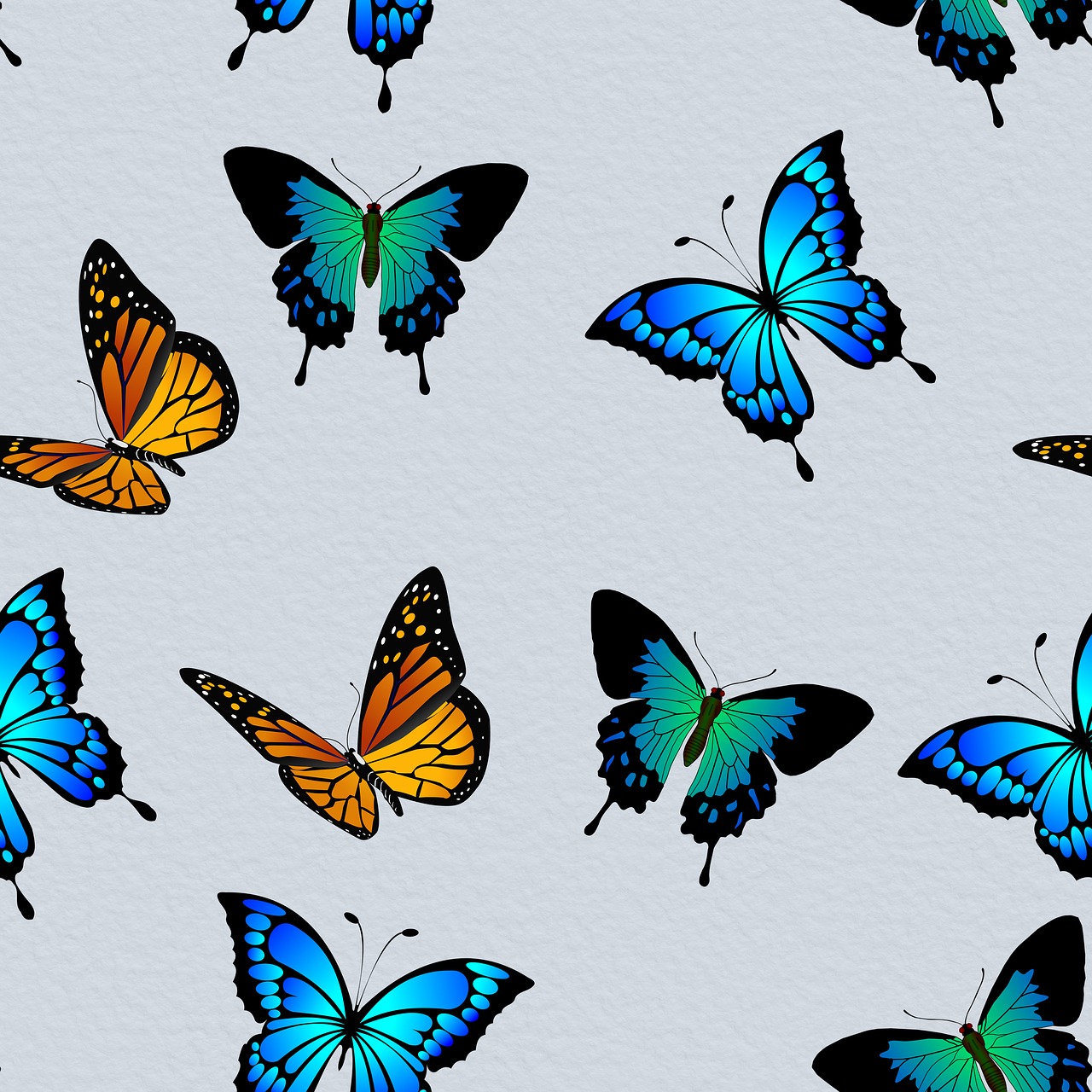 butterfly  pattern  nature free photo