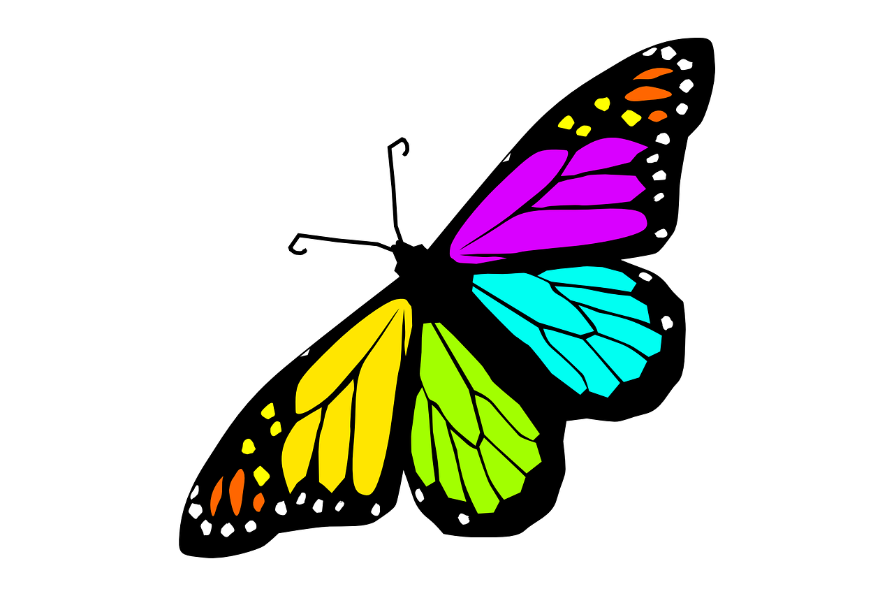 butterfly design spring free photo