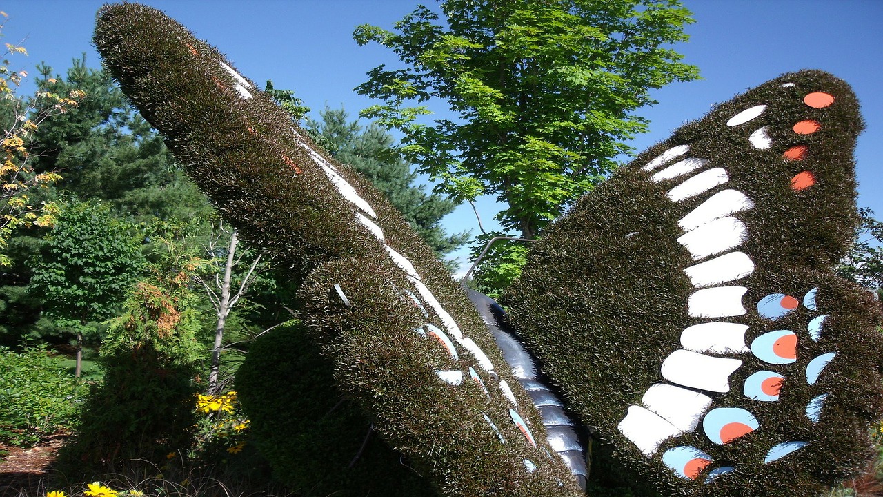 butterfly garden plant free photo