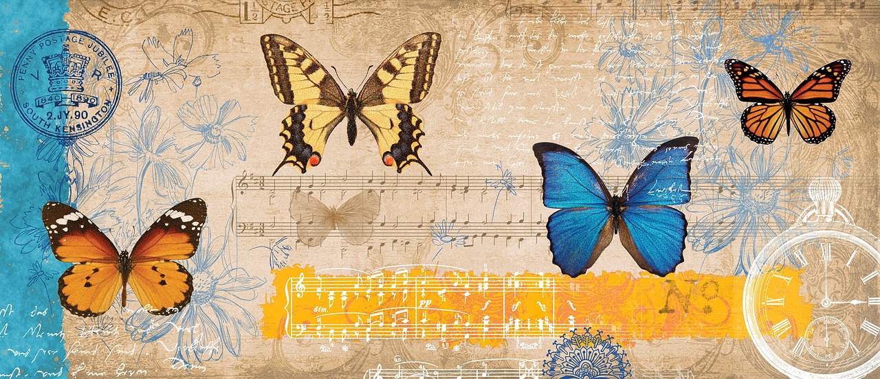 butterfly music melody free photo