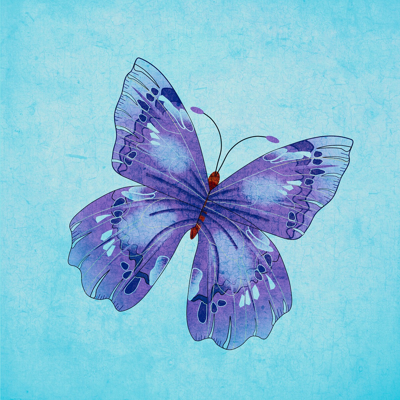 butterfly insect art free photo