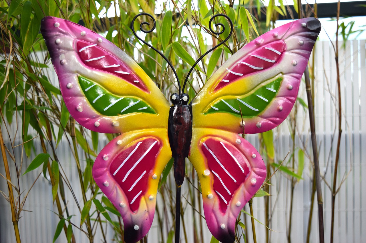 butterfly colorful garden free photo