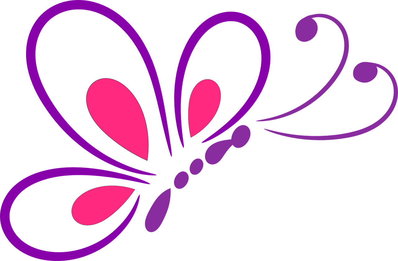 butterfly outline design free photo