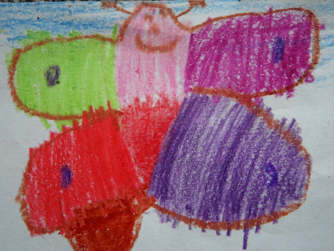 butterfly children drawing colorful free photo
