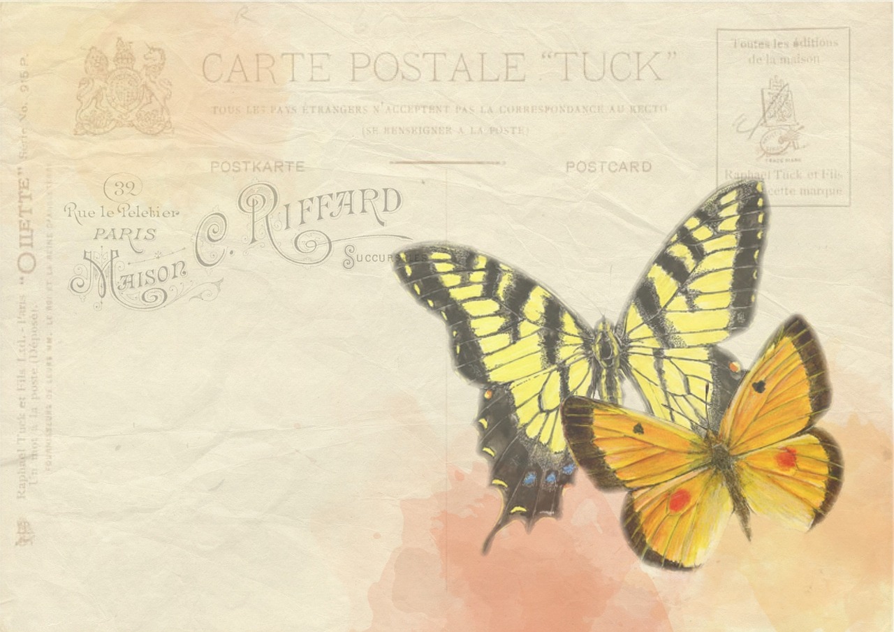 butterfly background post free photo