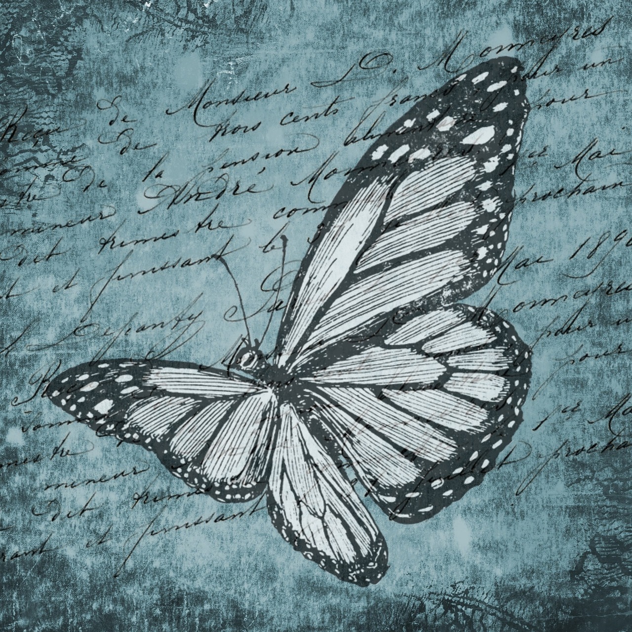 butterfly calligraphy blue free photo