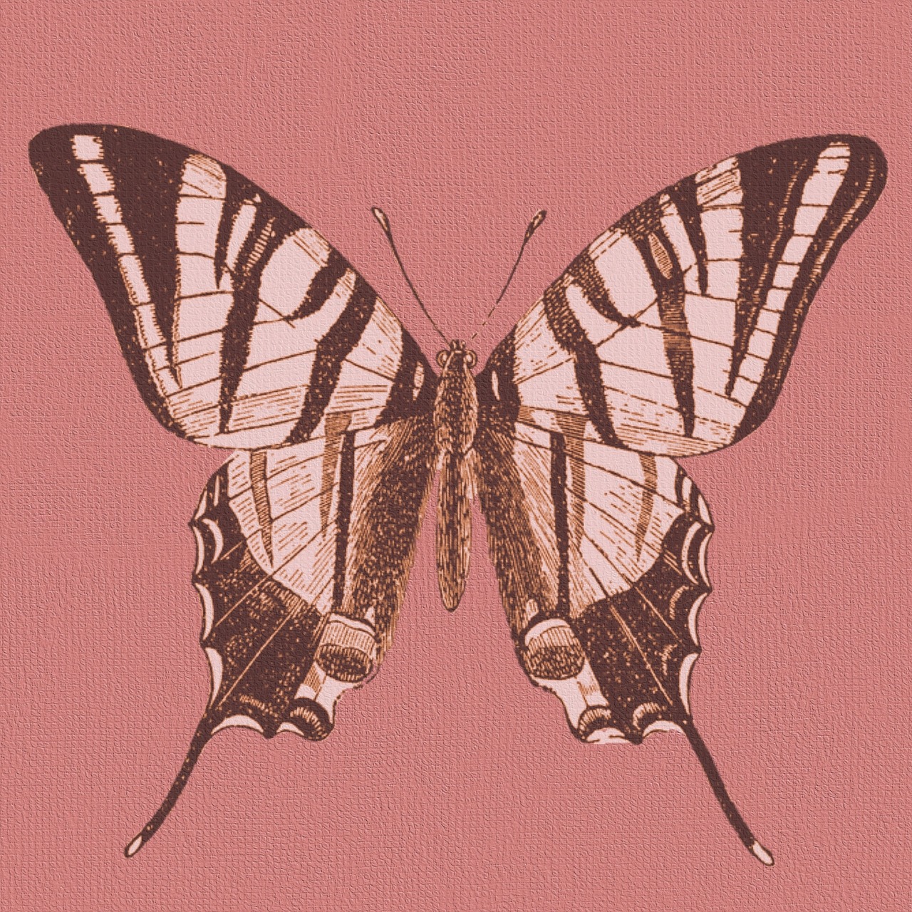 butterfly pink scrapbook free photo