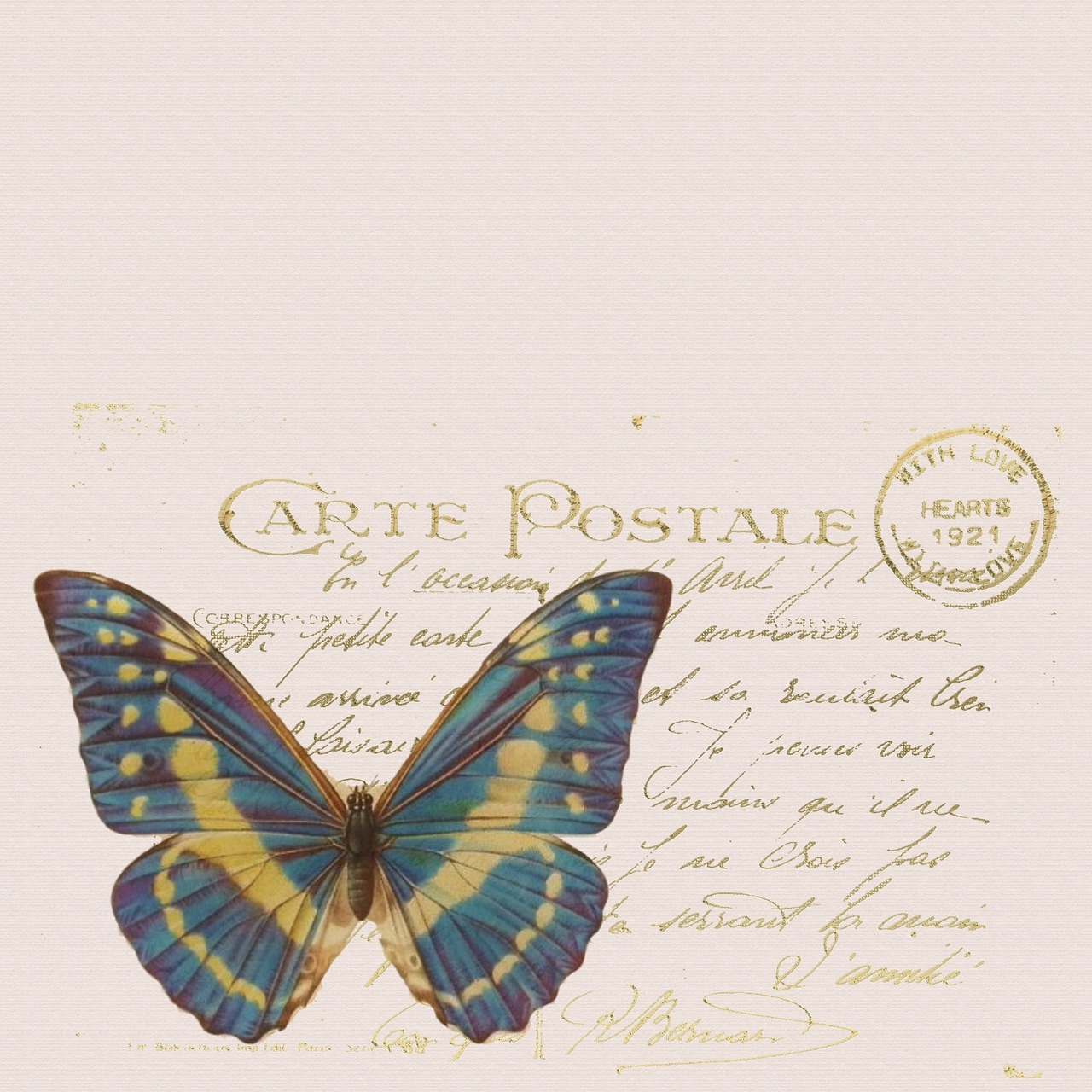 butterfly post card french free photo