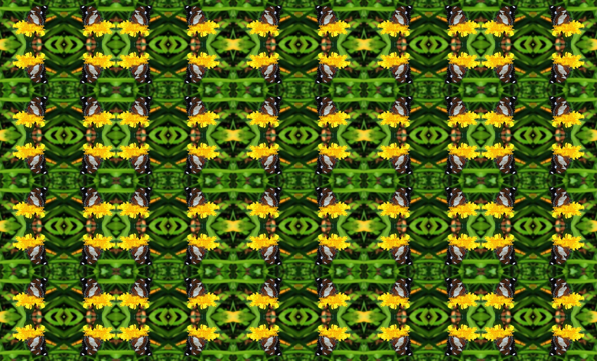 pattern flower yellow free photo