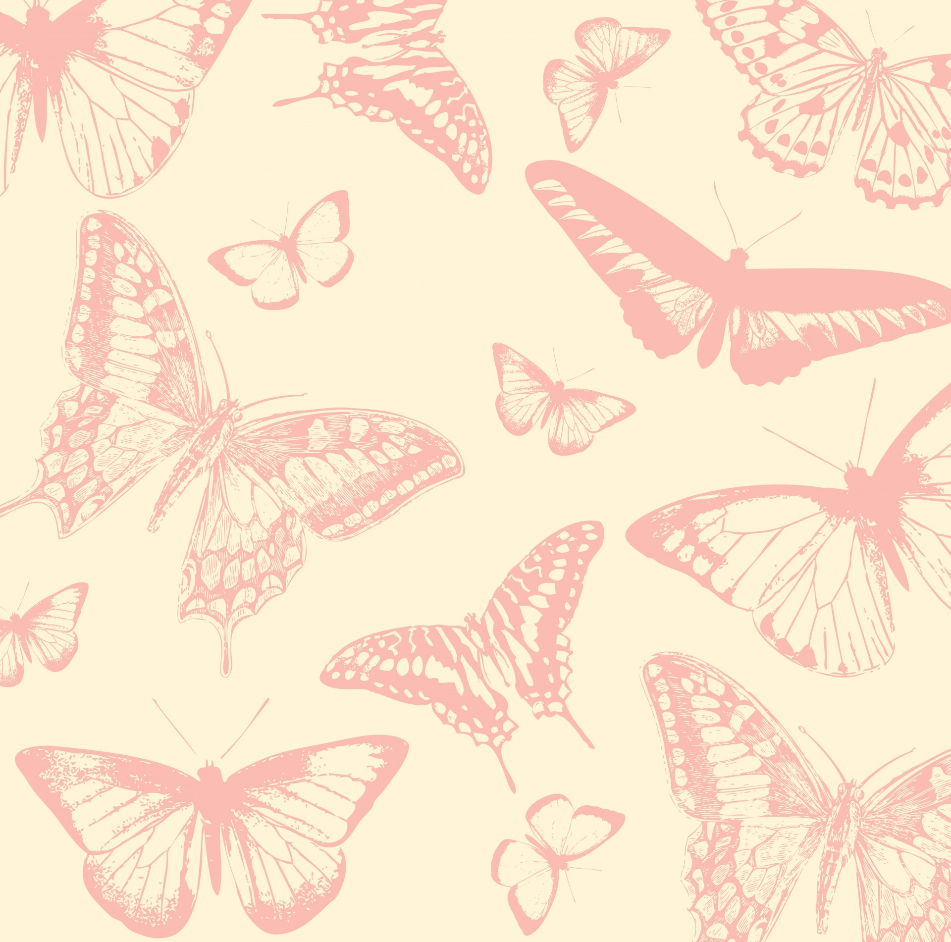 butterfly butterflies vintage free photo